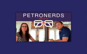 Read more about the article Getting “PetroNerdy” with Petro.Ai