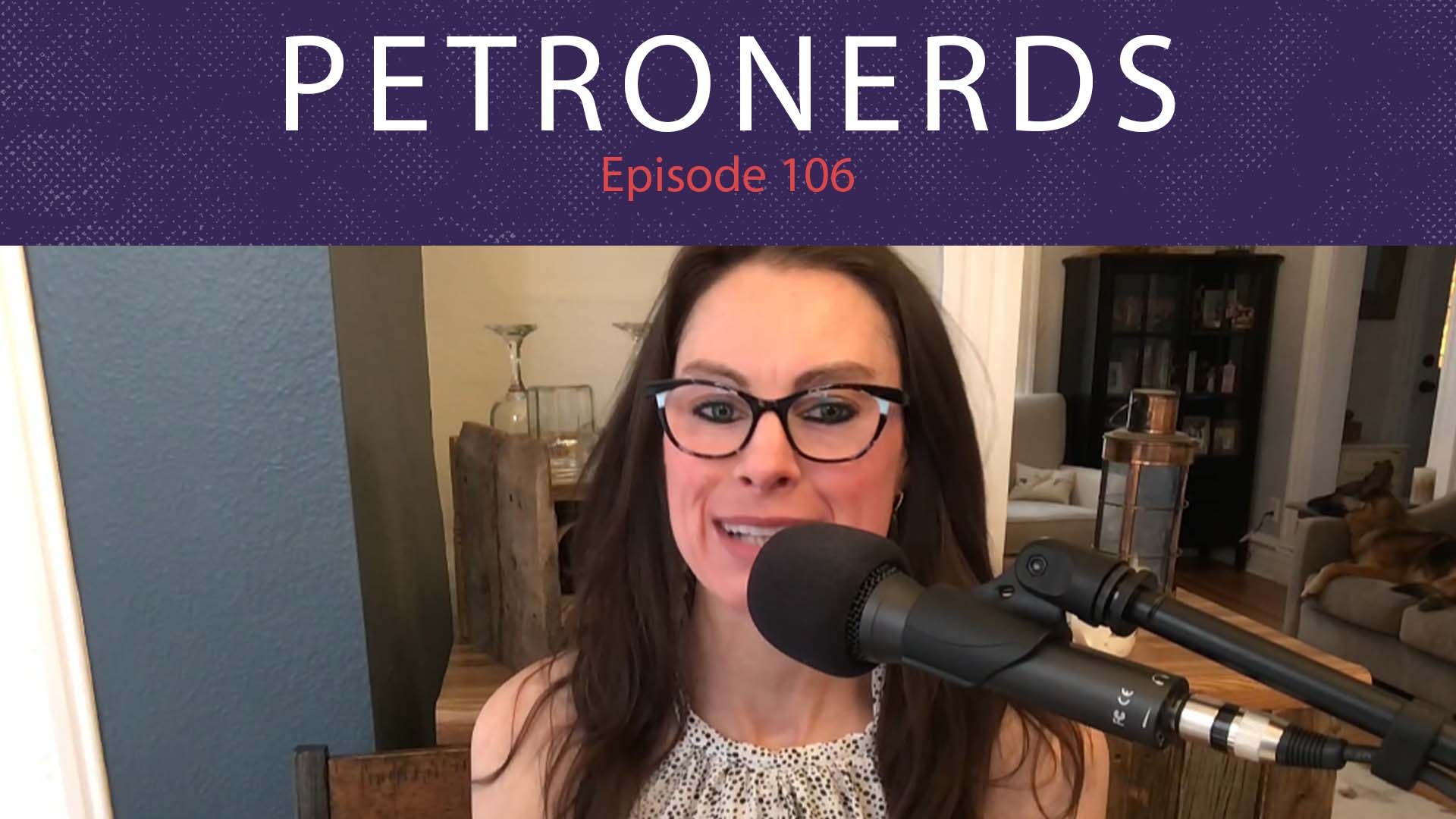 War Energy And Politics PetroNerds